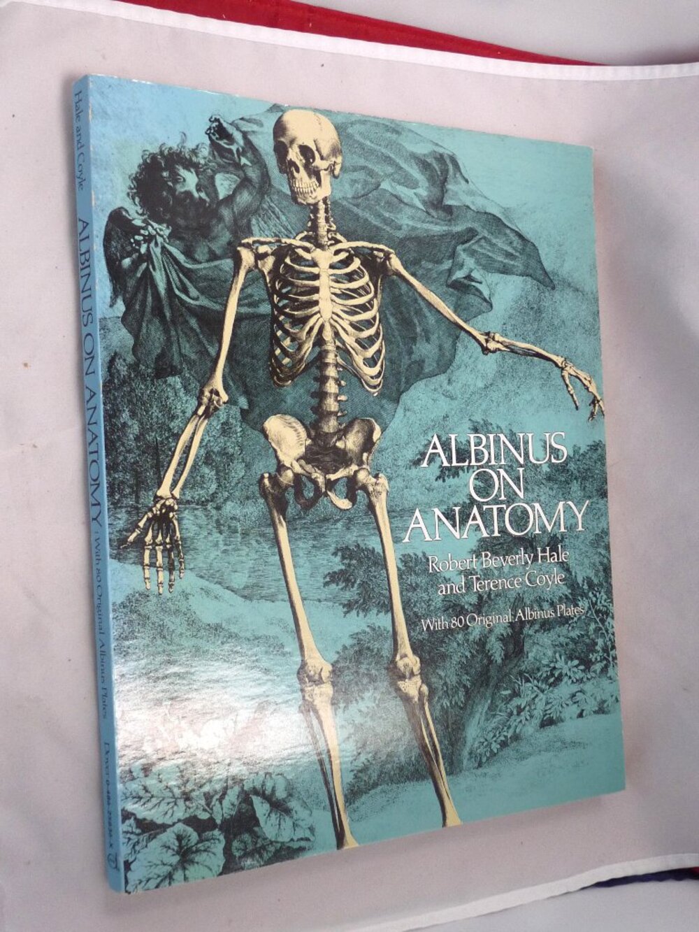 Albinus on Anatomy Hale Coyle book art drawing textbook